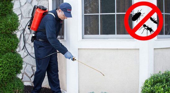 Egekent Karınca İlaçlama böcek ilaçlama ve haşere kontrolü — ilaclama-tr.com
